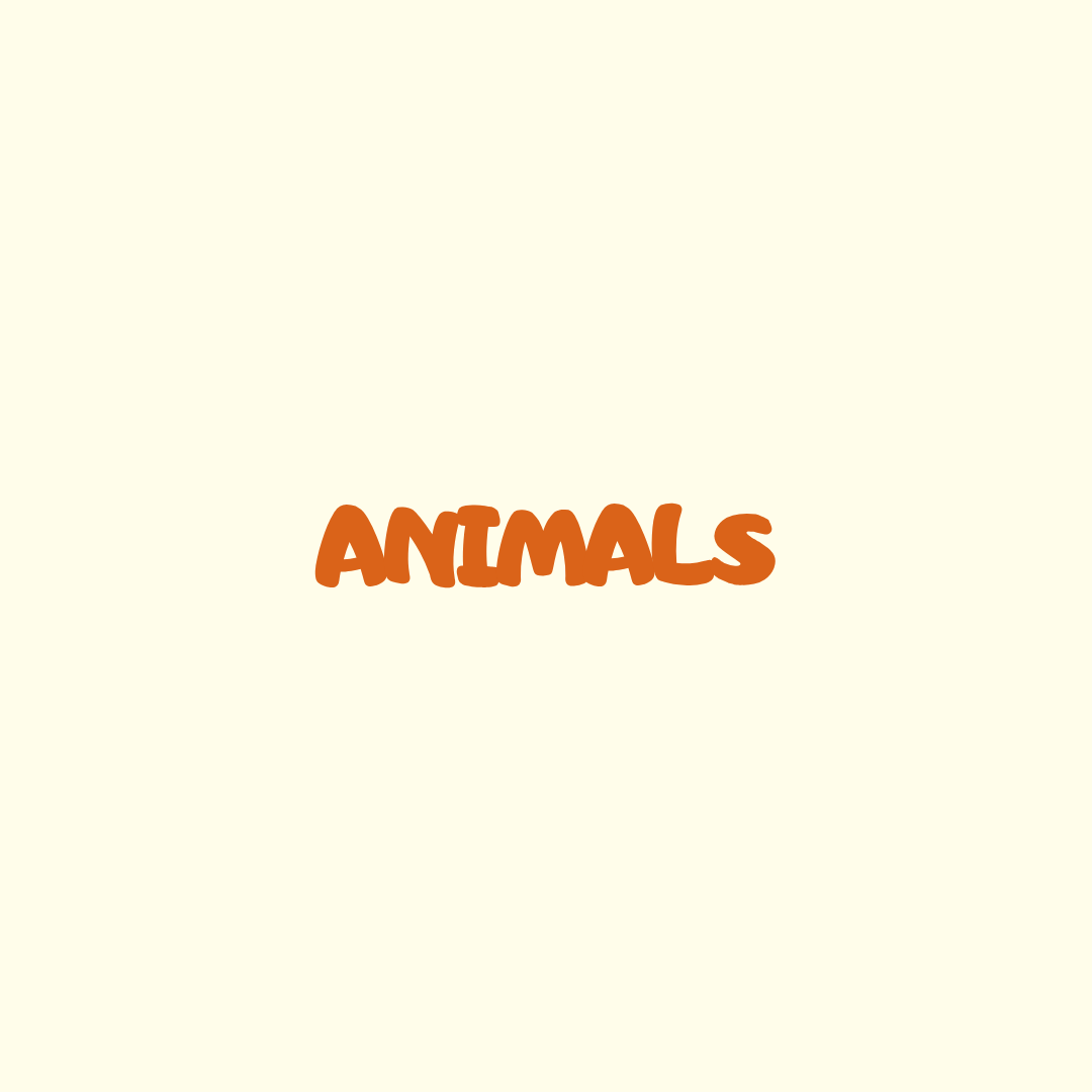 Patches – Animals