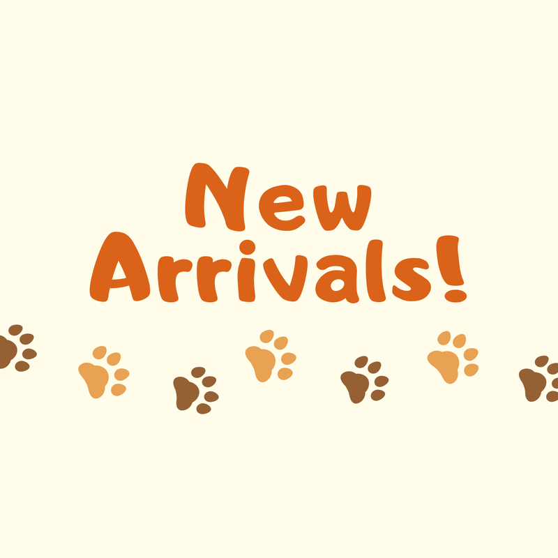 New Arrivals
