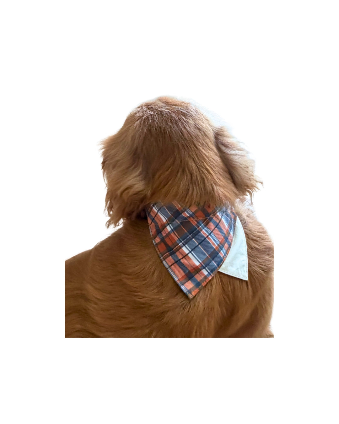 Pawfect in Plaids Reversible Bandana (Orange Blue)