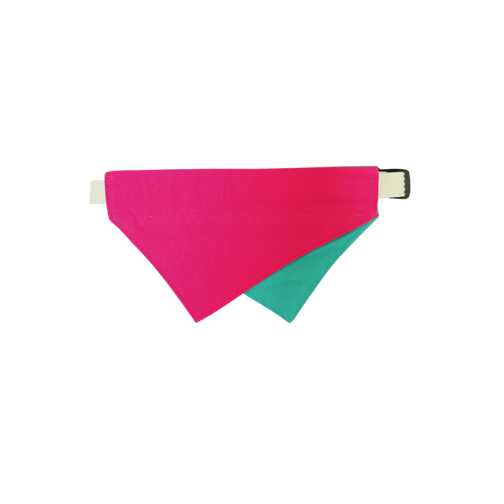 Pink & Teal Reversible Bandana