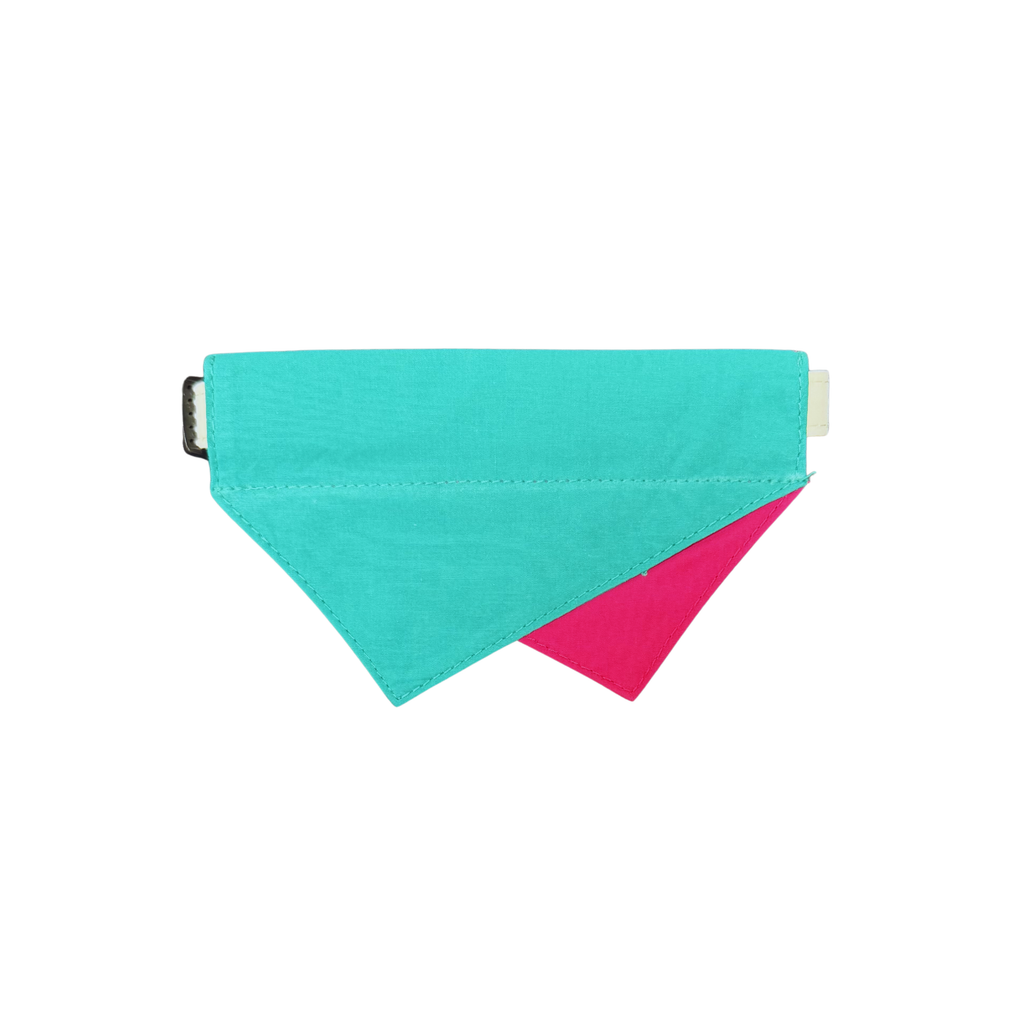 Pink & Teal Reversible Bandana