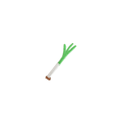 Spring Onion 4*1cm