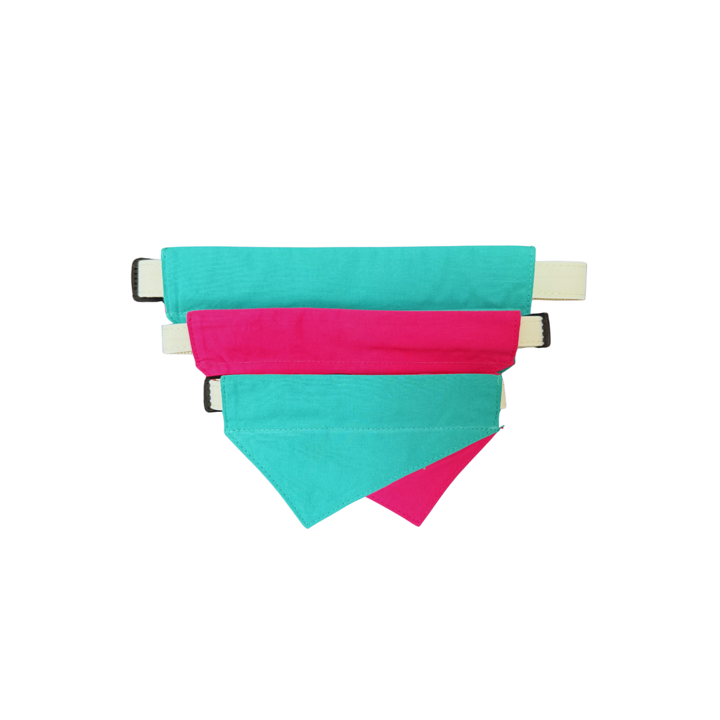 Pink & Teal Reversible Bandana