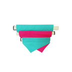 Pink & Teal Reversible Bandana
