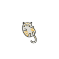 Cat 7*4cm