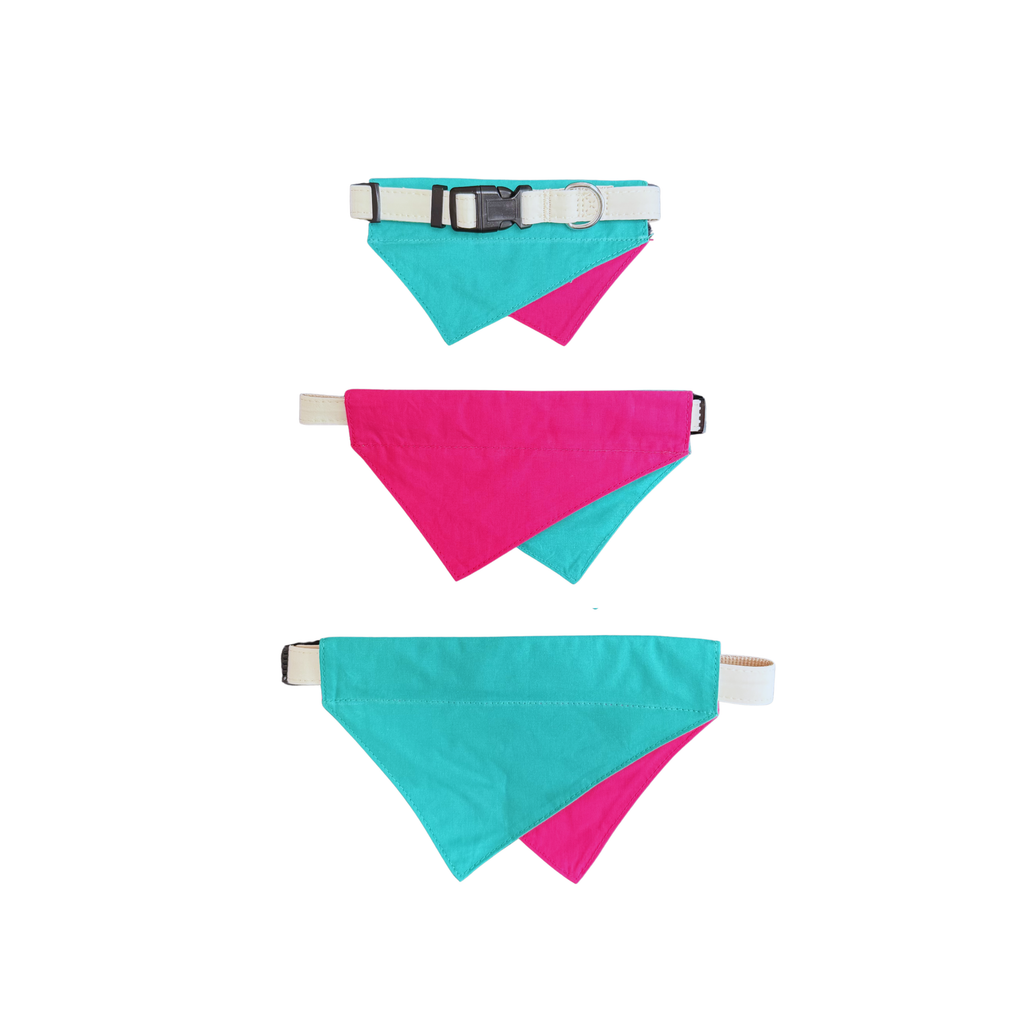 Pink & Teal Reversible Bandana