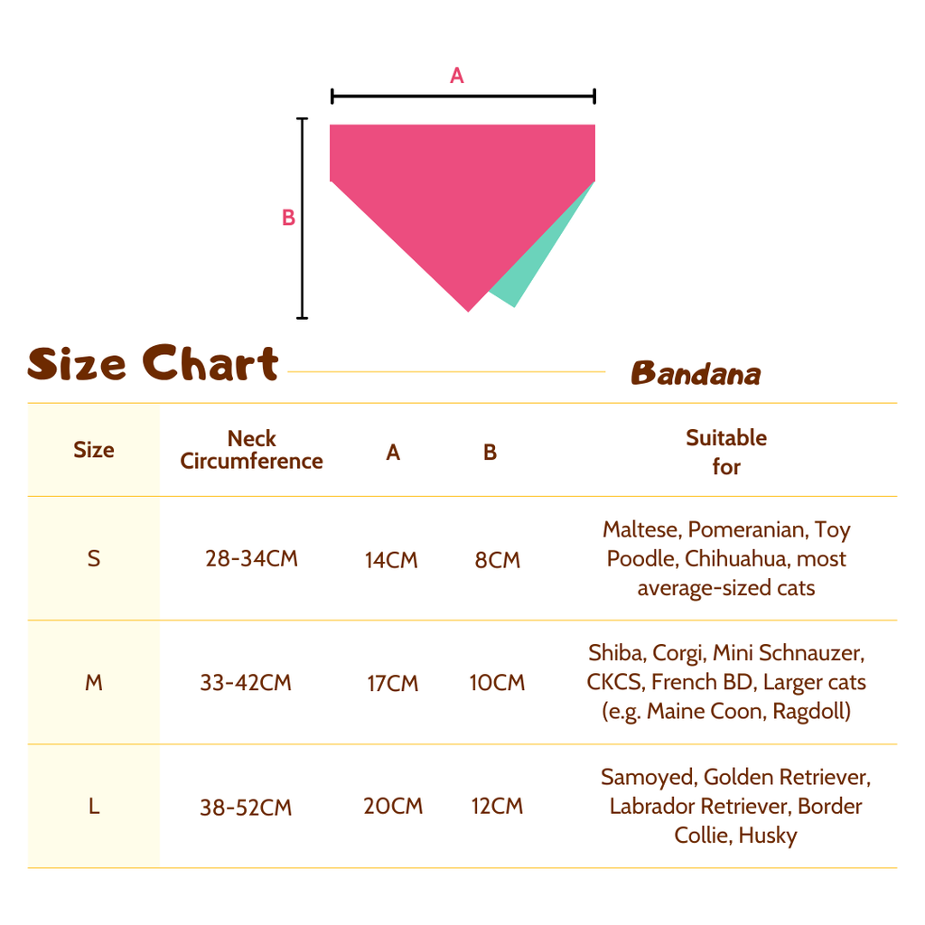 Pink & Teal Reversible Bandana