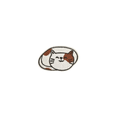 Cat 6*4cm