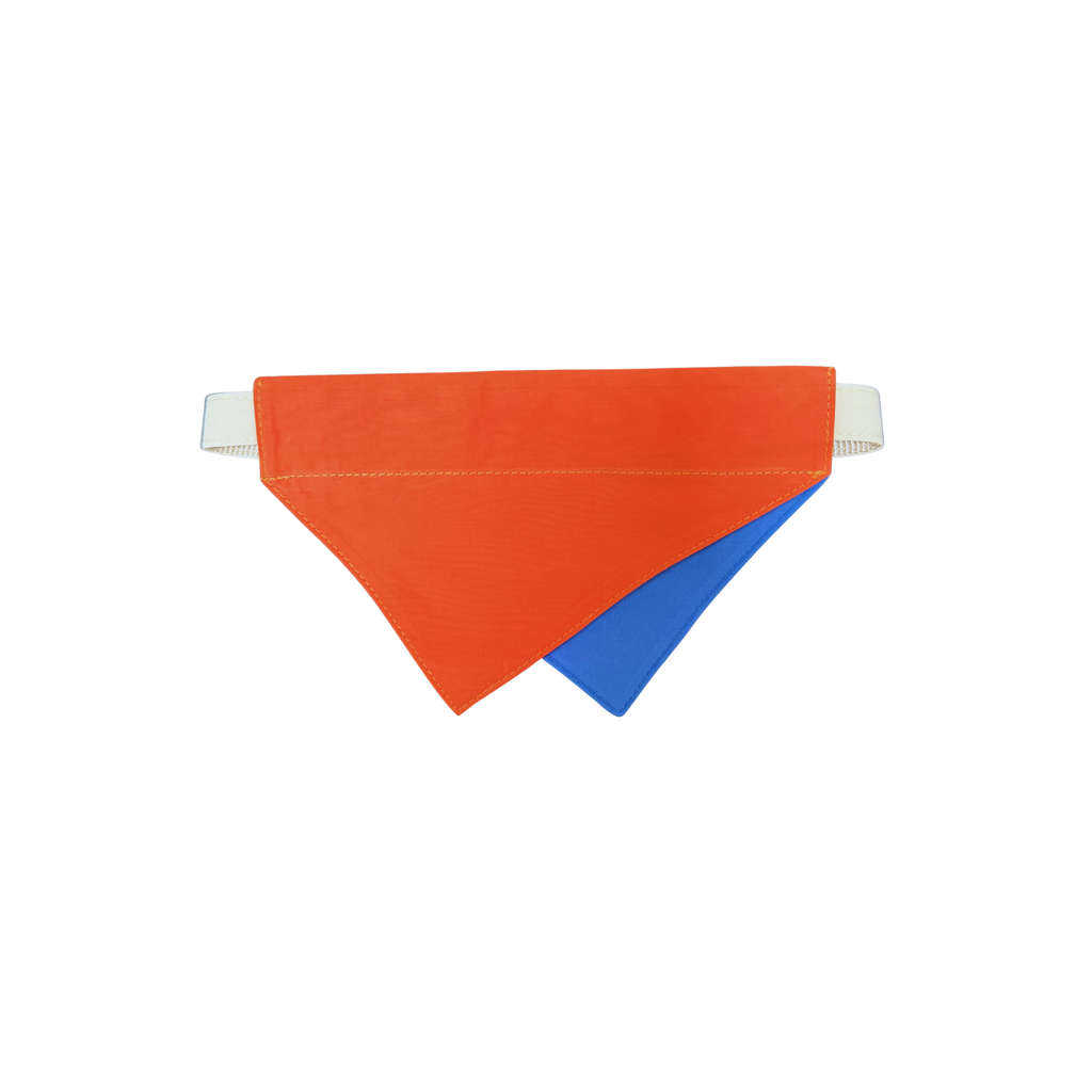 Blue & Orange Reversible Bandana