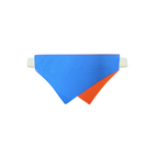 Blue & Orange Reversible Bandana