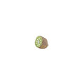 Kiwi 2.3*2cm