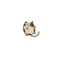 Cat 6.2*5.6cm