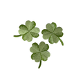 Lucky Four-leaf Clover