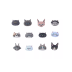 Kitty Cat (M)