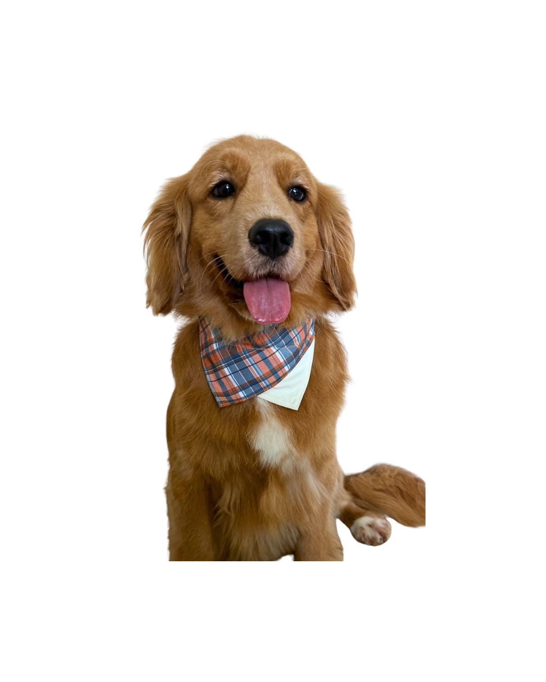 Pawfect in Plaids Reversible Bandana (Orange Blue)