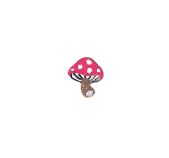 Big Mushroom